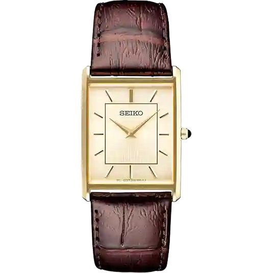SEIKO Essentials Watch for Men – Essentials – Water Resistant