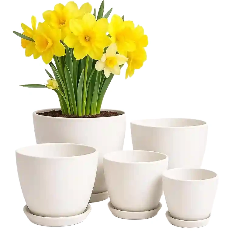 Utopia Home – Plant Pots Indoor with Drainage – 7/6.6/6/5.3/4.8 Inches